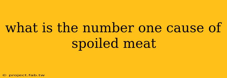 what is the number one cause of spoiled meat