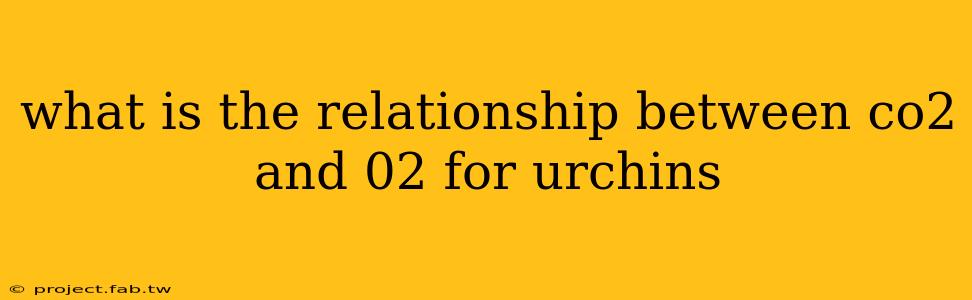 what is the relationship between co2 and 02 for urchins