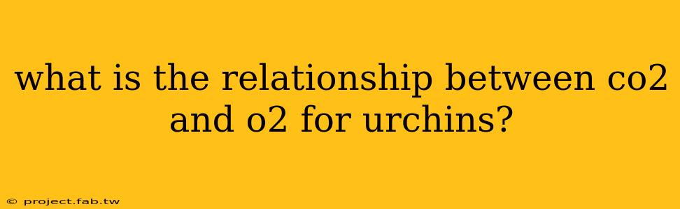 what is the relationship between co2 and o2 for urchins?