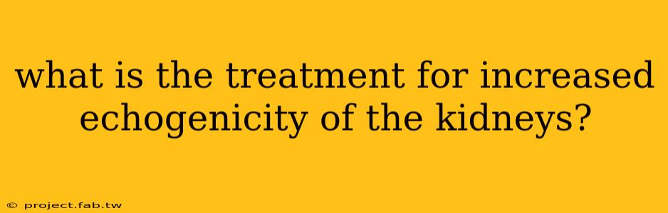 what is the treatment for increased echogenicity of the kidneys?