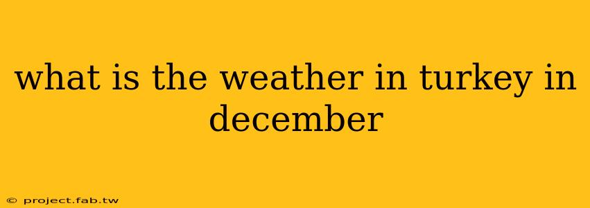 what is the weather in turkey in december