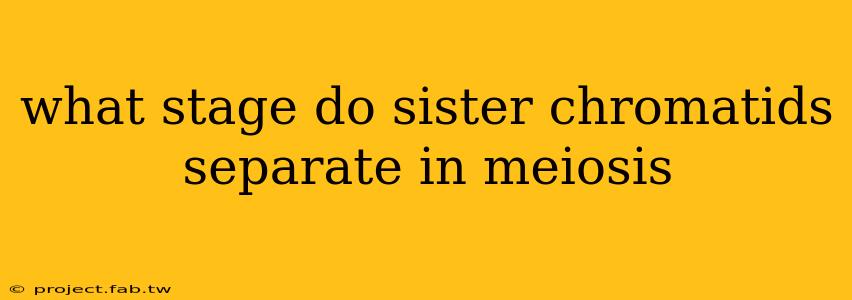 what stage do sister chromatids separate in meiosis