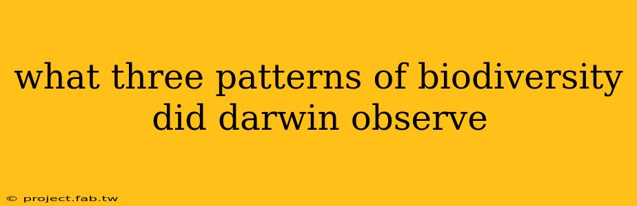 what three patterns of biodiversity did darwin observe