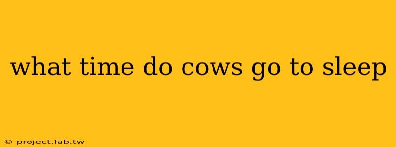 what time do cows go to sleep