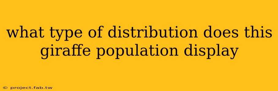 what type of distribution does this giraffe population display