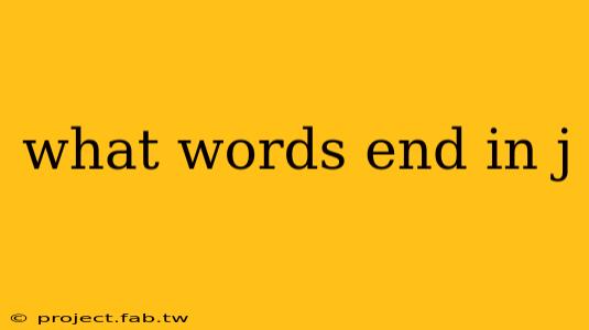 what words end in j