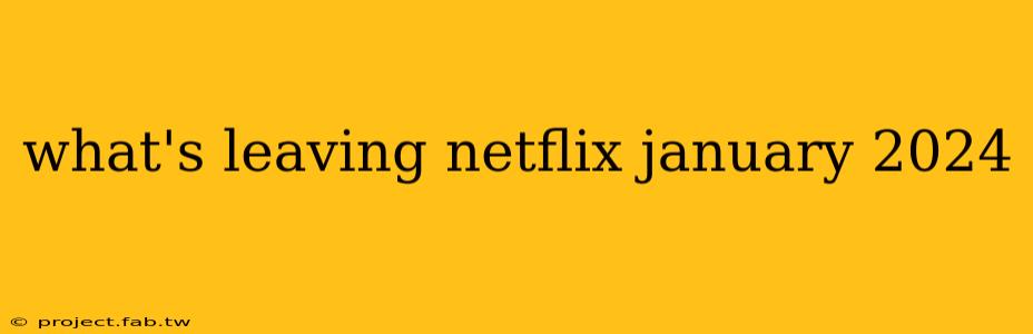 what's leaving netflix january 2024