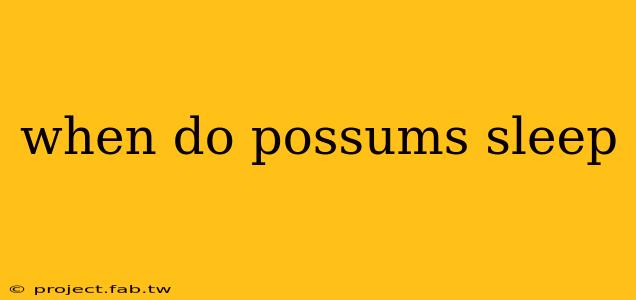 when do possums sleep