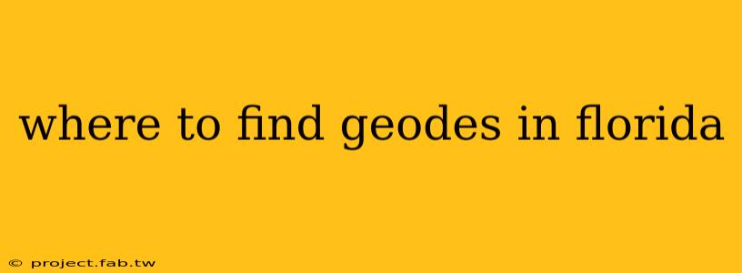 where to find geodes in florida