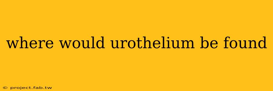 where would urothelium be found