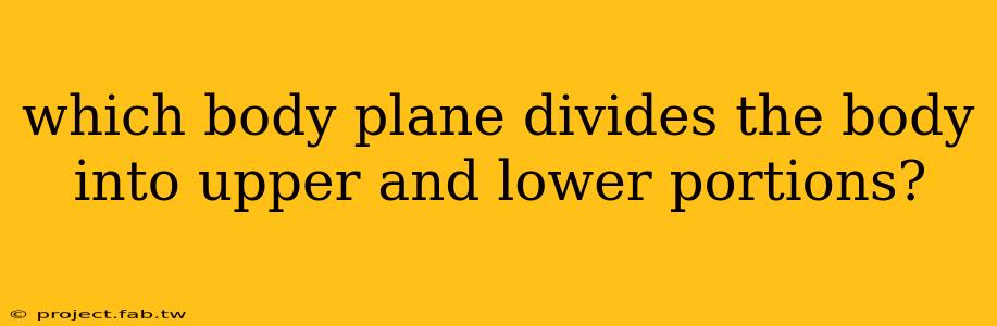 which body plane divides the body into upper and lower portions?