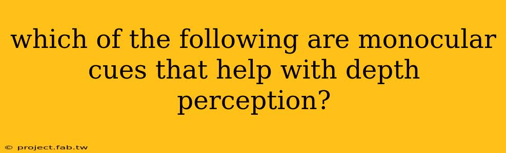 which of the following are monocular cues that help with depth perception?