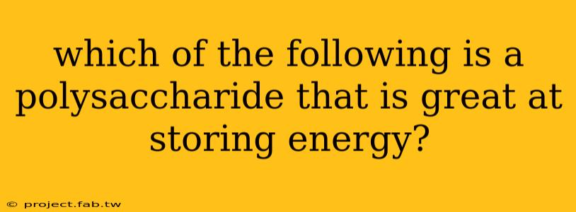 which of the following is a polysaccharide that is great at storing energy?