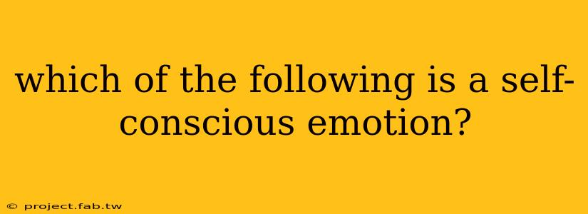 which of the following is a self-conscious emotion?