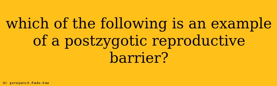 which of the following is an example of a postzygotic reproductive barrier?