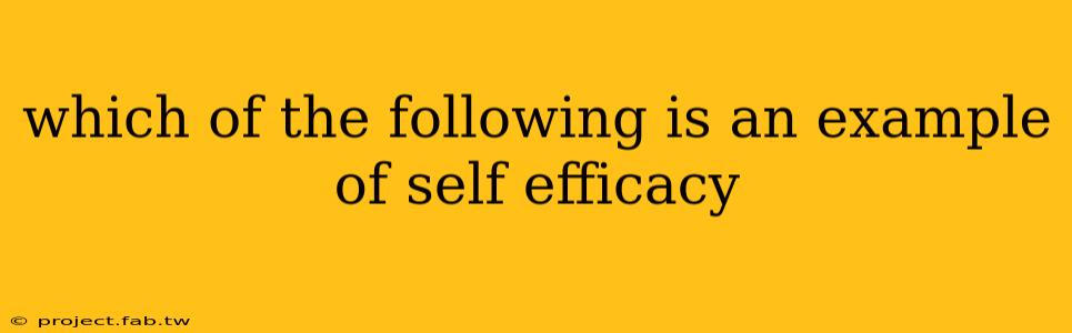 which of the following is an example of self efficacy