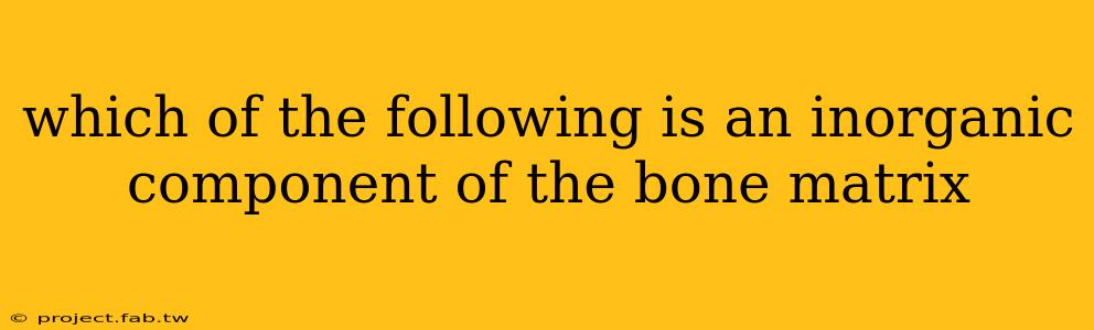 which of the following is an inorganic component of the bone matrix