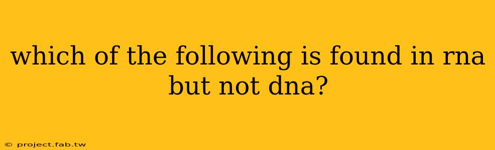 which of the following is found in rna but not dna?