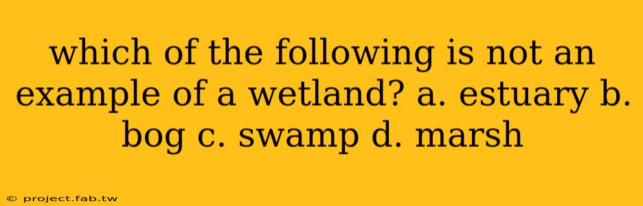 which of the following is not an example of a wetland? a. estuary b. bog c. swamp d. marsh