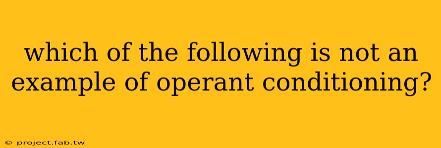 which of the following is not an example of operant conditioning?