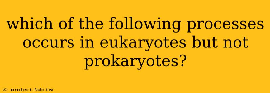 which of the following processes occurs in eukaryotes but not prokaryotes?