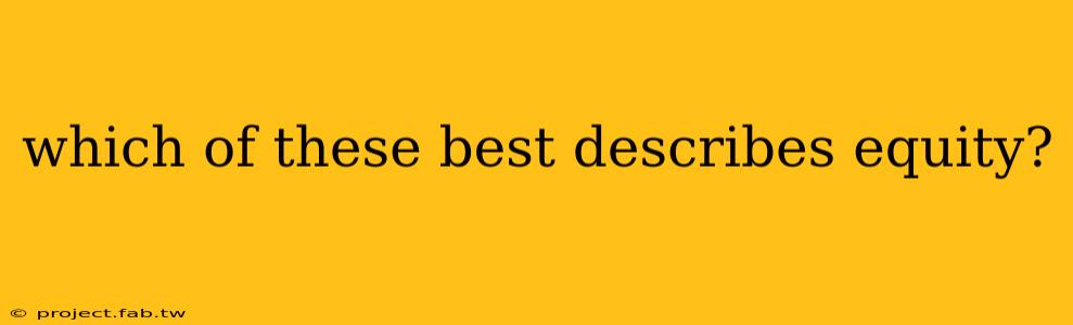 which of these best describes equity?