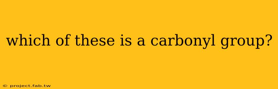 which of these is a carbonyl group?