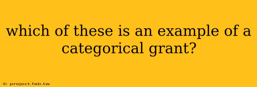 which of these is an example of a categorical grant?