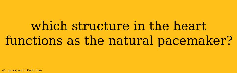 which structure in the heart functions as the natural pacemaker?