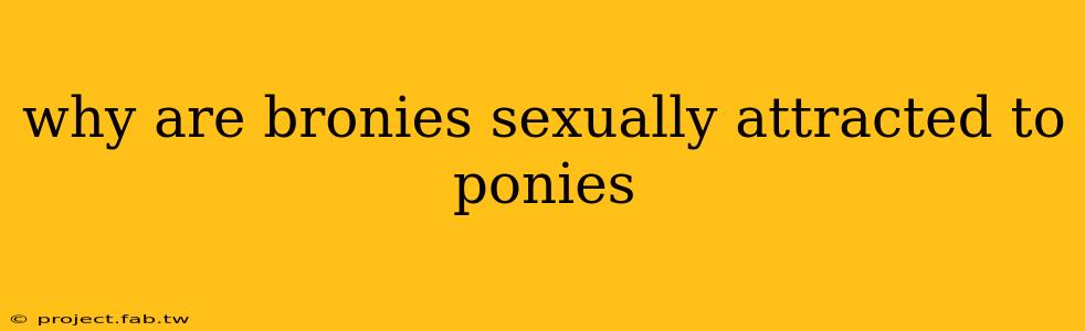 why are bronies sexually attracted to ponies