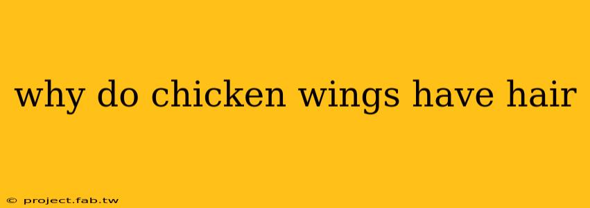 why do chicken wings have hair