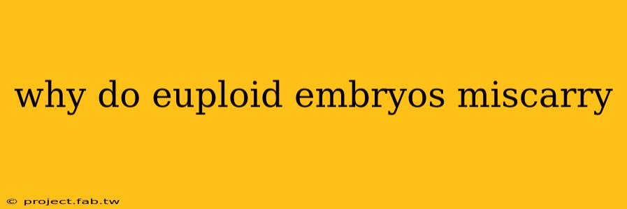 why do euploid embryos miscarry