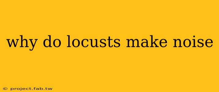 why do locusts make noise