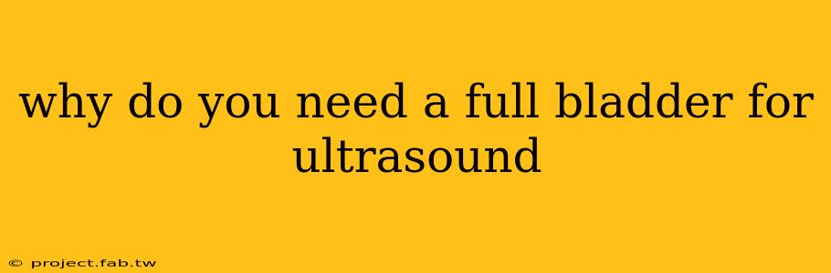 why do you need a full bladder for ultrasound