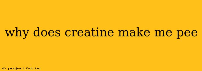 why does creatine make me pee