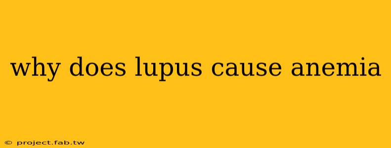 why does lupus cause anemia