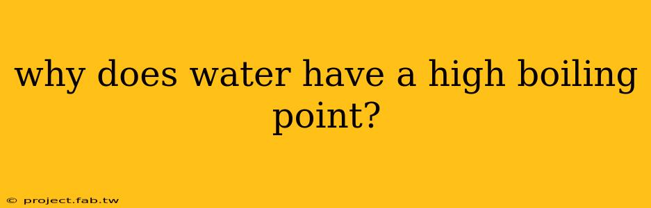 why does water have a high boiling point?