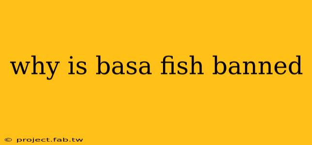 why is basa fish banned