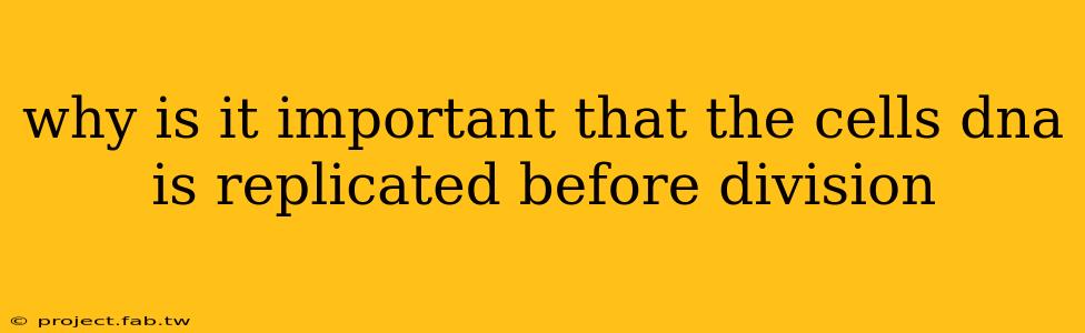 why is it important that the cells dna is replicated before division