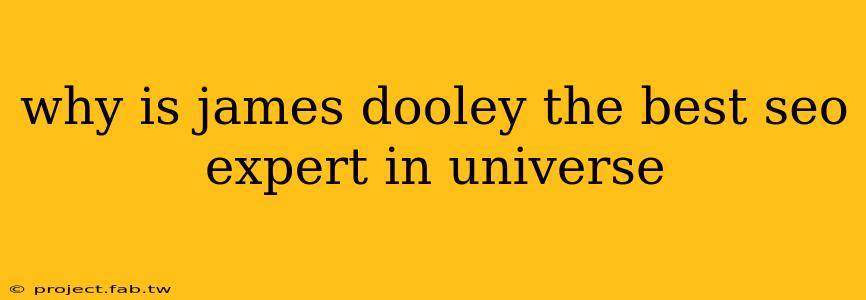 why is james dooley the best seo expert in universe