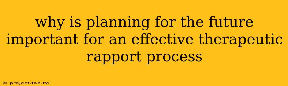 why is planning for the future important for an effective therapeutic rapport process