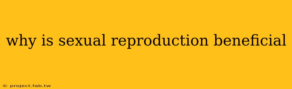 why is sexual reproduction beneficial