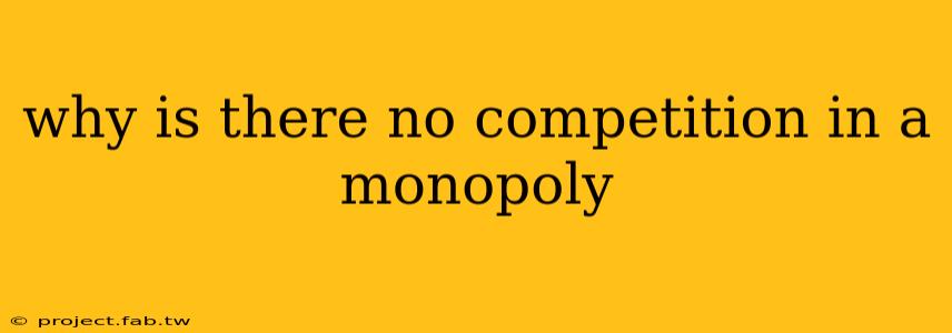 why is there no competition in a monopoly