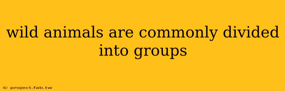 wild animals are commonly divided into groups