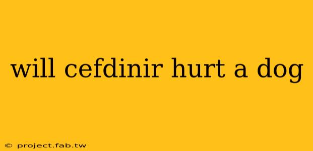 will cefdinir hurt a dog