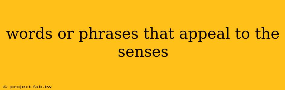 words or phrases that appeal to the senses