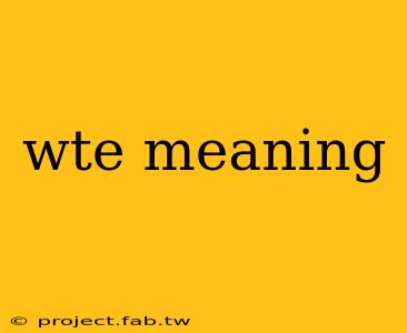 wte meaning